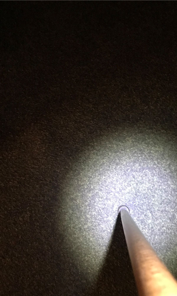 LED Walking Stick Light