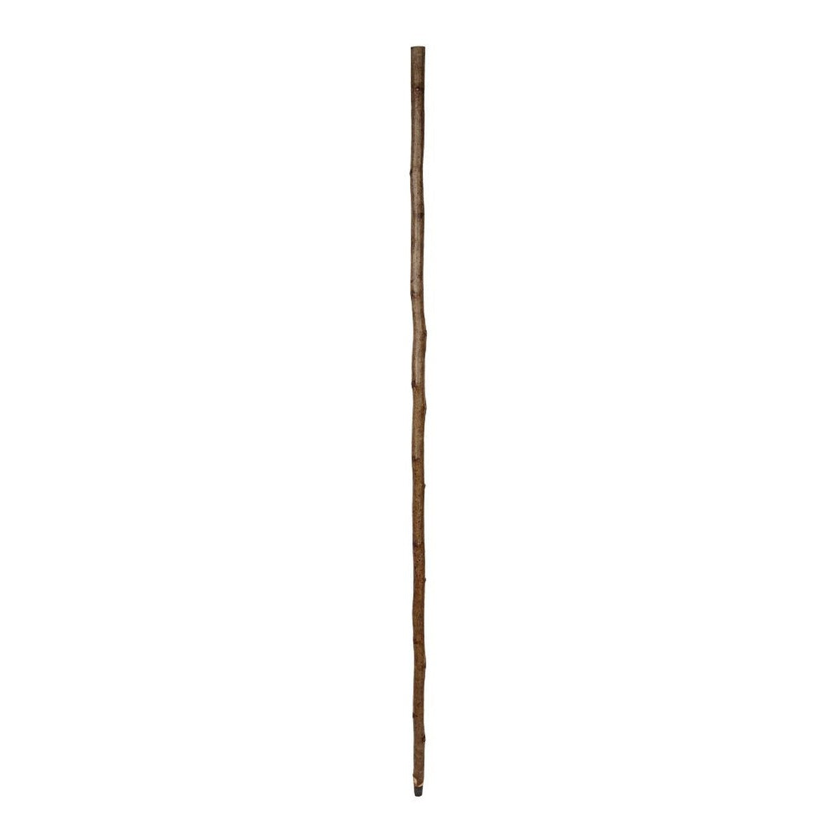 54" Hazel Fit Up