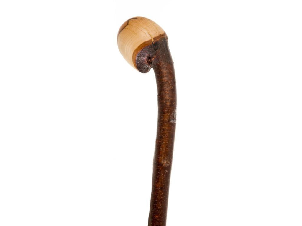 Blackthorn Knob Stick