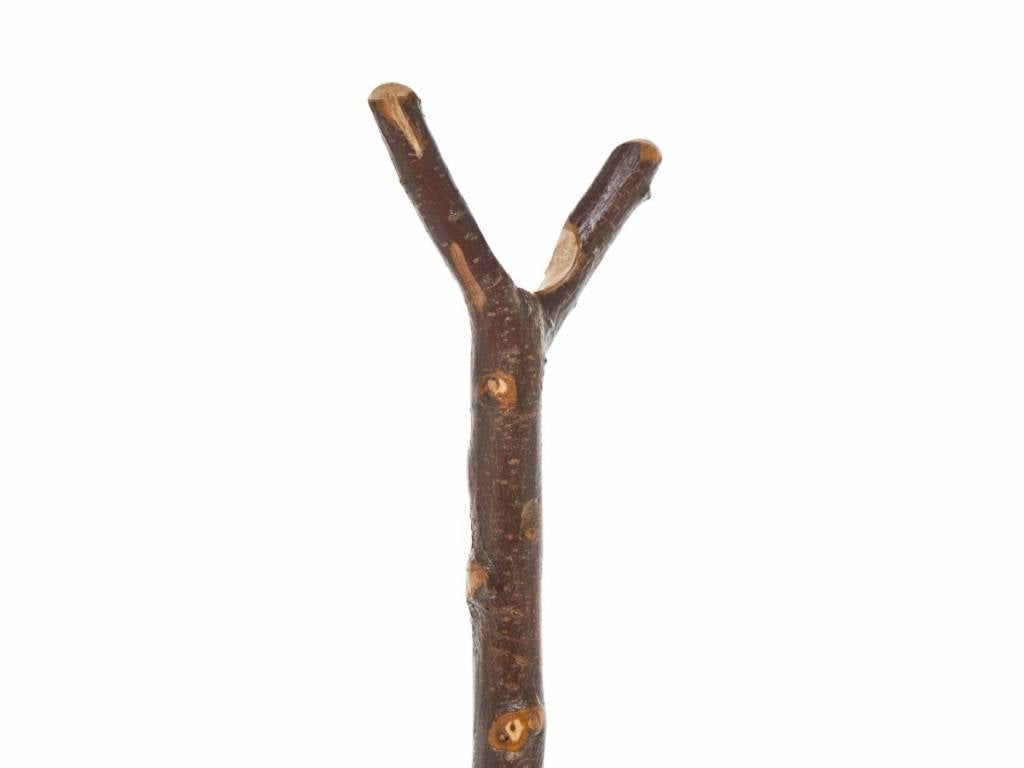 Chestnut Thumbstick