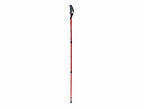 Trekking Pole