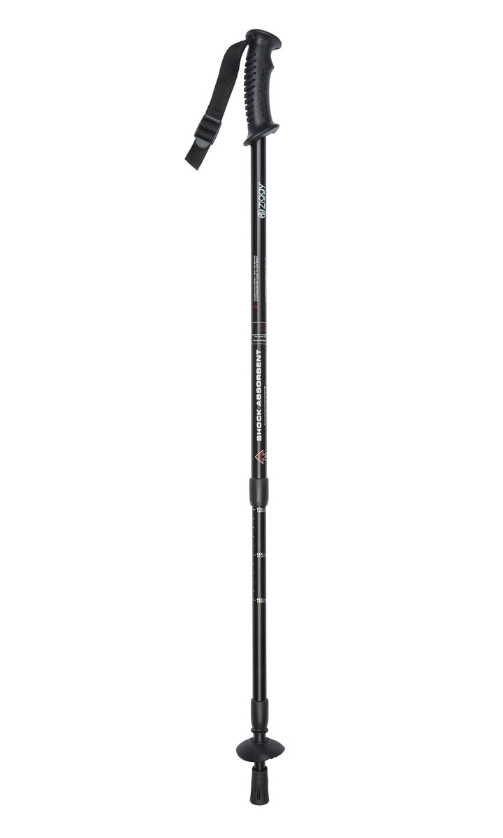 Hiking Pole