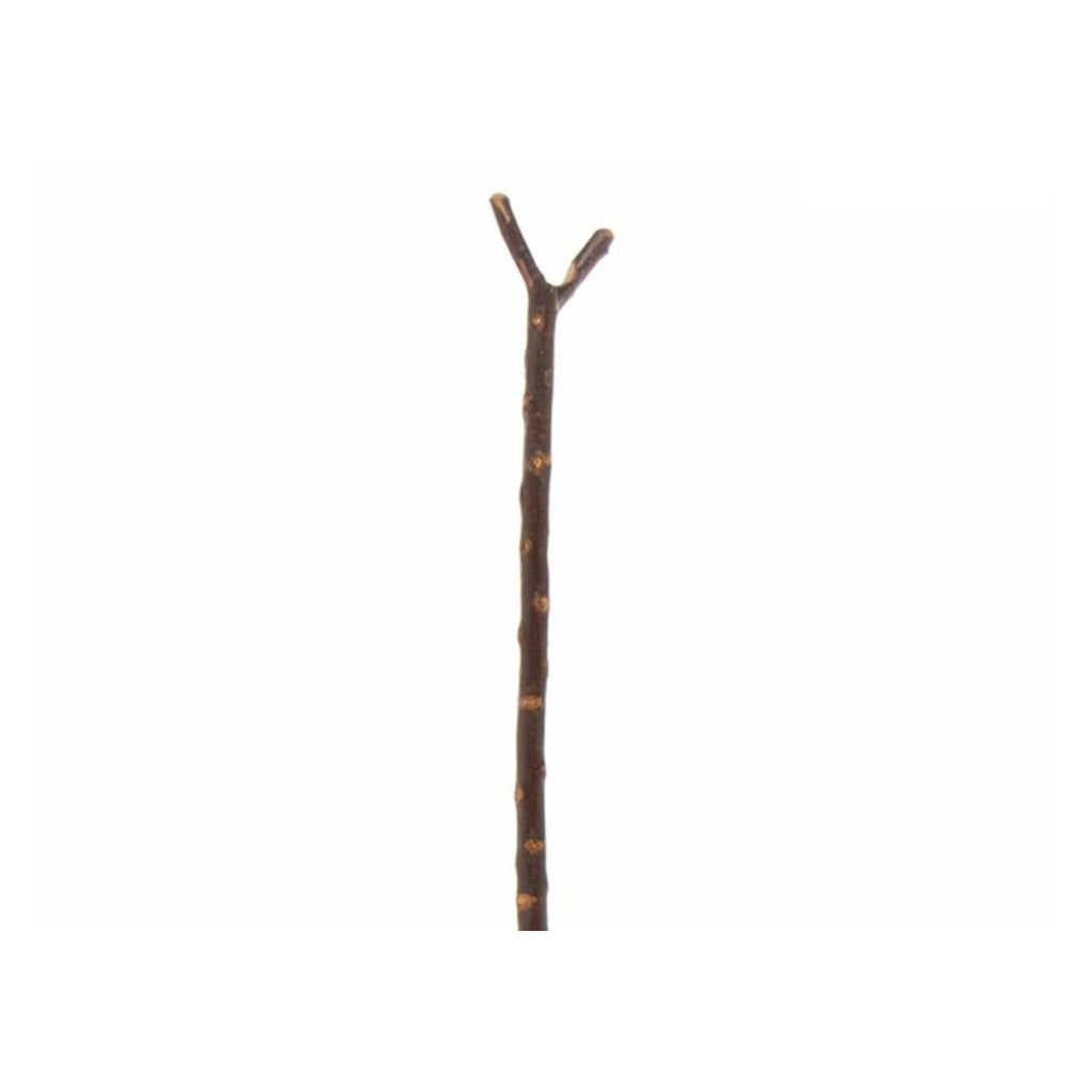 Chestnut Thumbstick