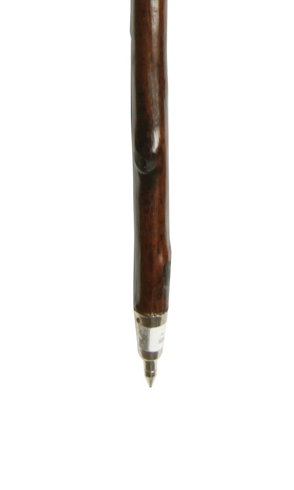 Chestnut Hiker With Spike Ferrule