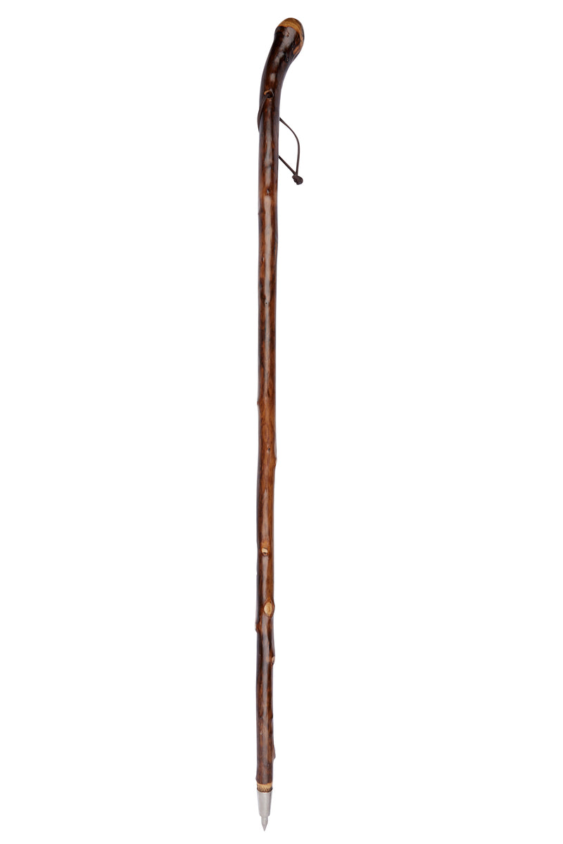 Chestnut Knob Hiker With Spike Ferrule