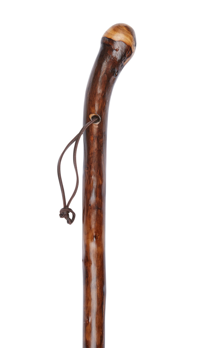 Chestnut Knob Hiker With Spike Ferrule