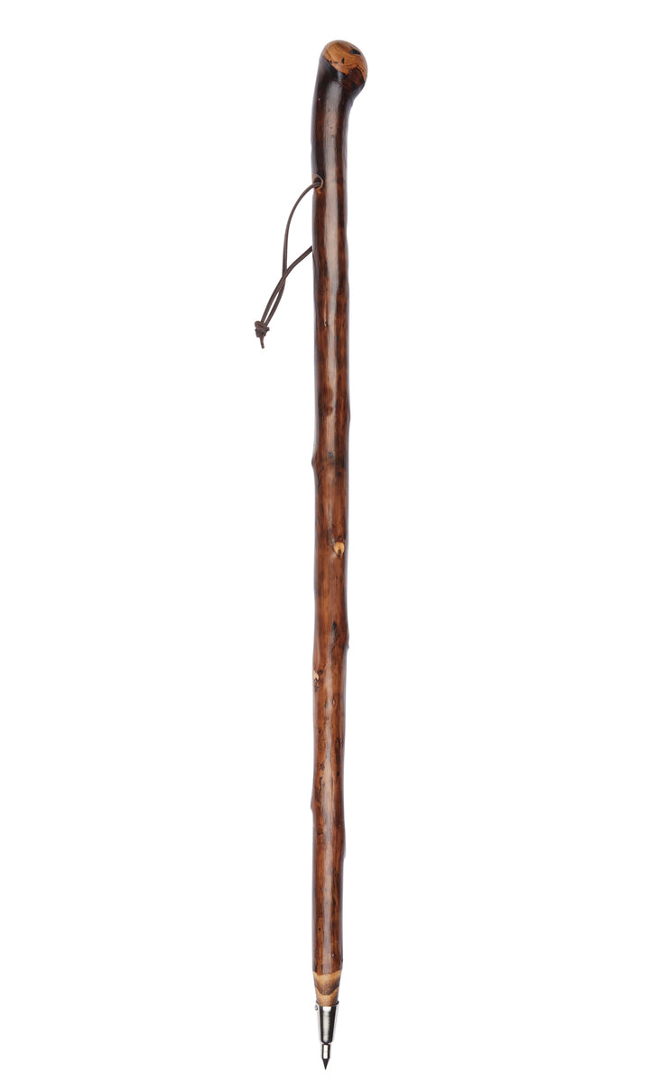 Chestnut Knob Stick With Spike Ferrule