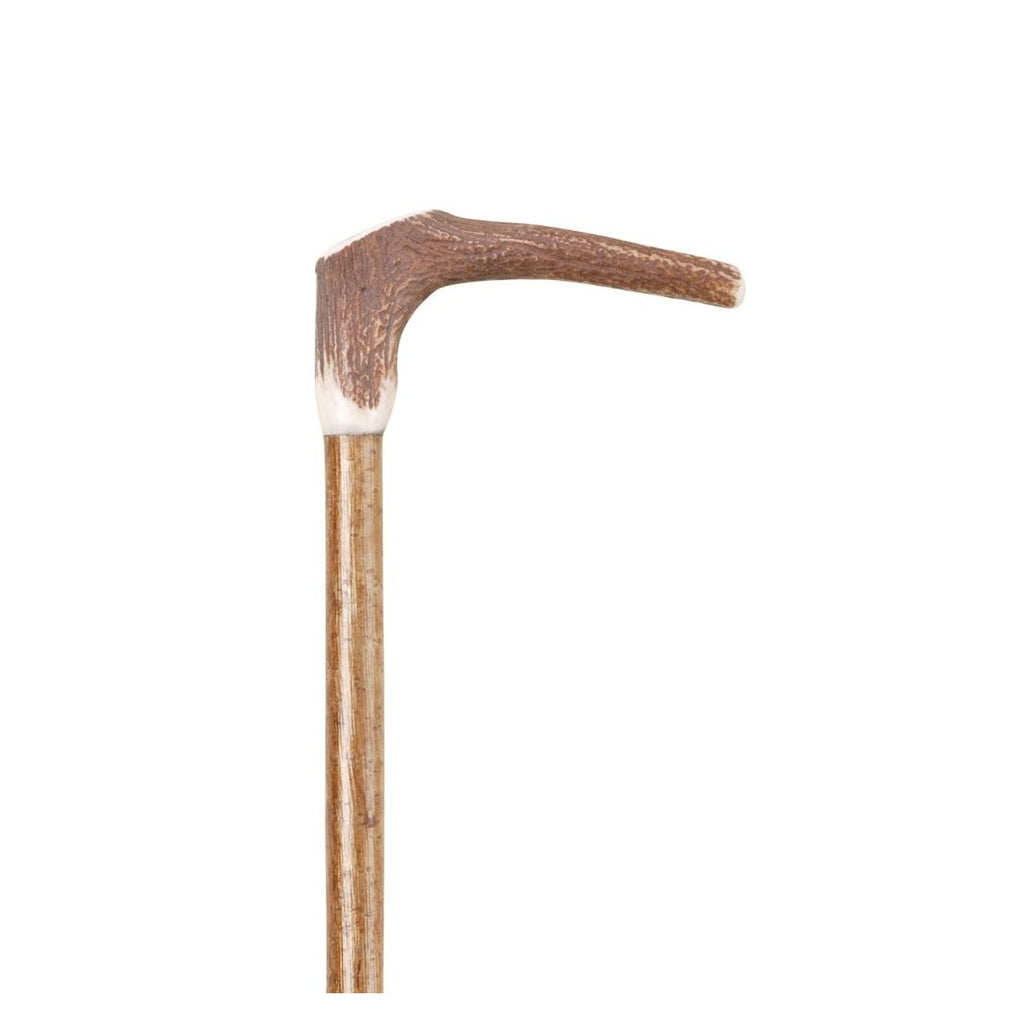 Staghorn Stick With Walnut Cap