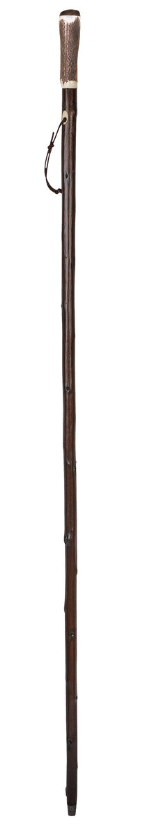 Staghorn Hiking Stick With Walnut Cap