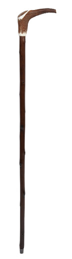 Staghorn Stick With Walnut Cap
